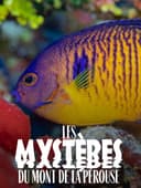 The mysteries of Mont La Pérouse