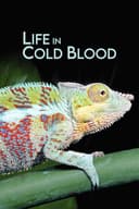 Life in Cold Blood