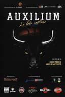 Auxilium, la fede continua