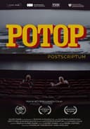 The Deluge: Postscriptum