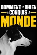 How dogs conquered the world