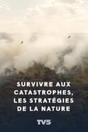 Survivre aux catastrophes, les stratégies de la nature