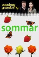 Uppdrag granskning sommar