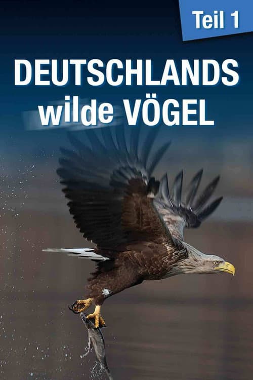 Deutschlands wilde VΓΆgel