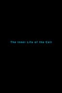 The Inner Life of the Cell