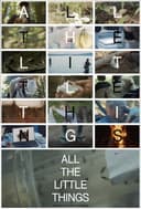 All the Little Things