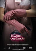 The Cleaning Lady