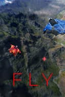 Fly
