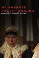 Violets Blossom in the Caucasus