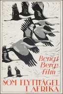 As a Migratory Bird in Africa