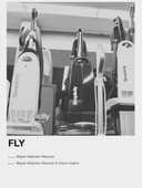 Fly