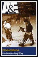 Columbine: Understanding Why