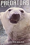 Predators of the Wild: Polar Bear