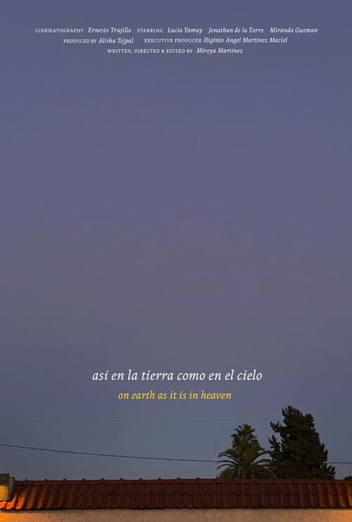 AsΓ en la tierra como en el cielo