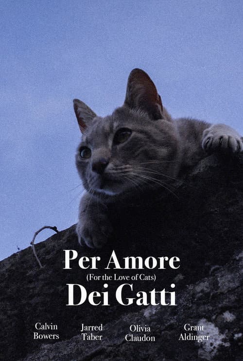For the Love of Cats